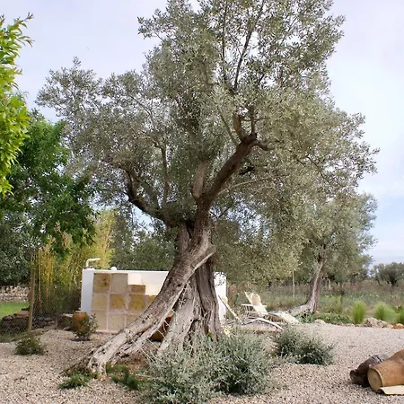 Finca Ca Na Barons